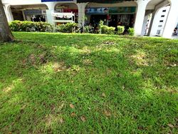 Yishun Ring Road (D27), Shop House #564600891